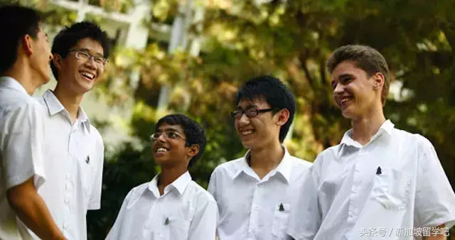 「Singapore」世纪大PK，新加坡政府学校-国际学校大过招
