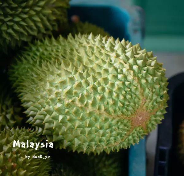马来西亚旅游不可错过的美食，第三种最正宗却很多人不敢吃