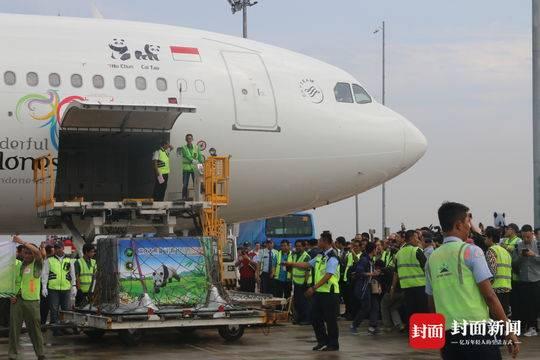 四川出发 一路向南·印尼篇⑩｜74岁印尼华裔的十年“熊猫梦” “此生最骄傲的事，就是引进了大熊猫”