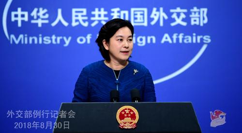 外交部就冰岛外交部长访华等问题答记者问
