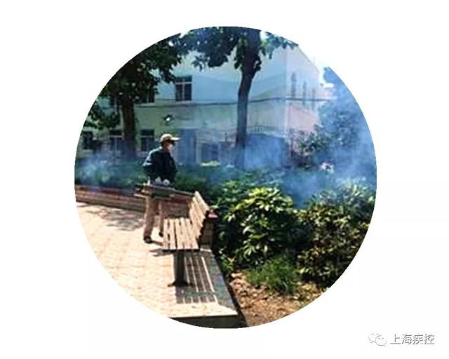 「疾控信息」路遇小区绿化喷洒请绕道，防蚊灭蚊，预防登革热！