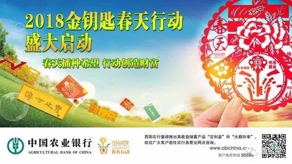 扶贫圈｜点赞！酉阳女婿带领群众种玉米，产品卖到新加坡