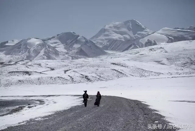 冯仑：不管什么样的房地产政策，都需要给人以稳定的预期