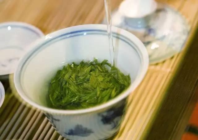 「老卜奎说茶」绿茶的正确喝法你知道吗？喝绿茶真的好！