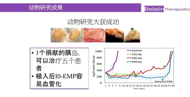 第79期光谷青桐汇“拓路国际 领跑未来”国际化专……