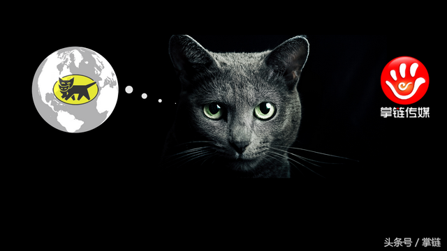 日本黑猫宅急便盯上中国即时物流市场，快服务契合度有多大？