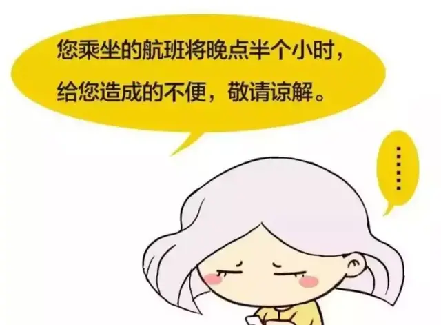 新航飞机延误后的愉快体验：免费餐饮+五星级酒店住宿～