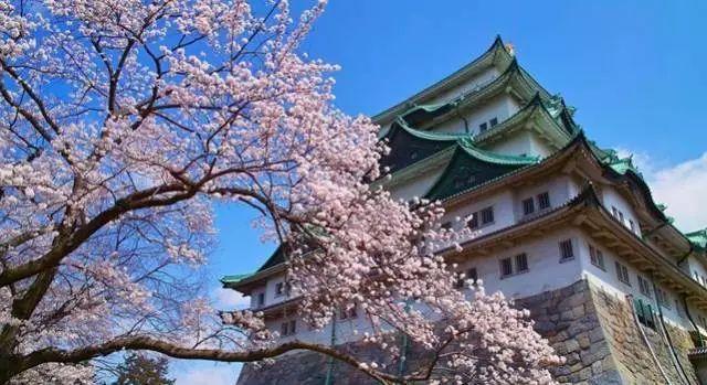 「旅游生活」2018年各国旅游签证新规，下半年出国旅行你一定要知道！