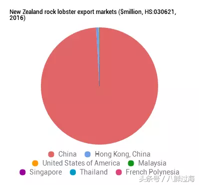 生长在国家公园外海，出门就坐直升飞机的海鲜：新西兰岩龙虾！