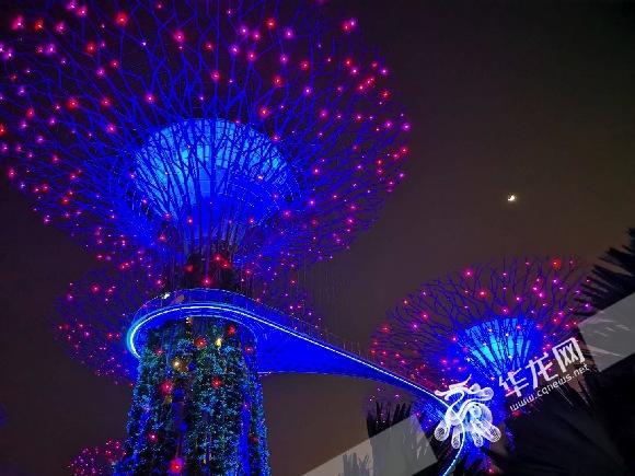 在智博会主宾国的“智慧”一天