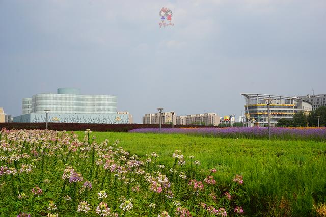 既能避暑，又能洗肺，还能看草原和沙漠，内蒙这座城市很神奇！