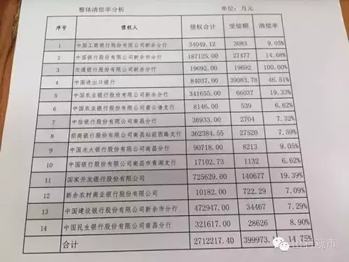 江西赛维破产重组让14家银行亏掉200亿