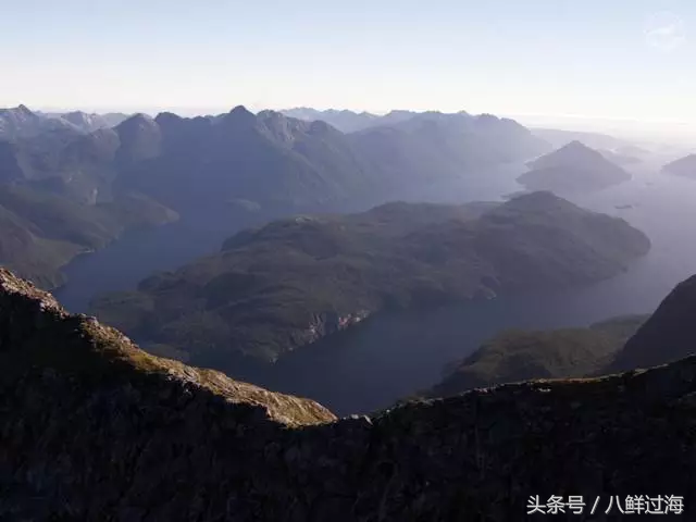 生长在国家公园外海，出门就坐直升飞机的海鲜：新西兰岩龙虾！