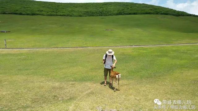 在熊猫馒头屋里，藏着一个清静美好的日本关西