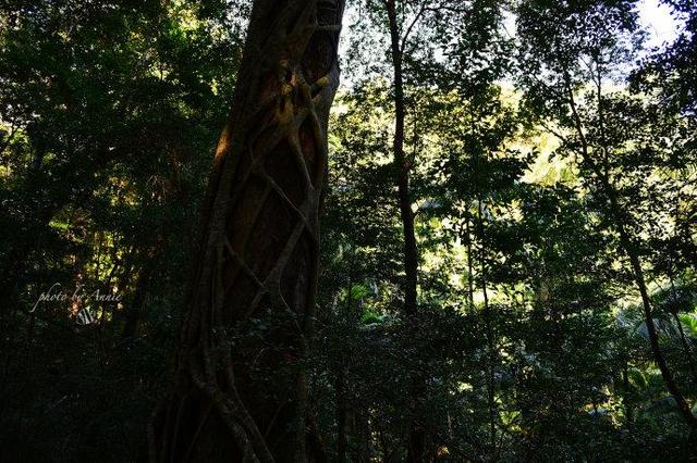 从荒芜到充实，比新加坡国土面积大3倍的沙岛可以这样玩