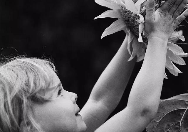 母婴日报丨太平鸟上半年净利增115.31%，童装增长强劲