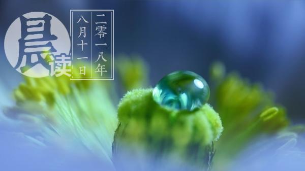 晨读｜商务部：对美、欧和新加坡卤化丁基橡胶征反倾销税
