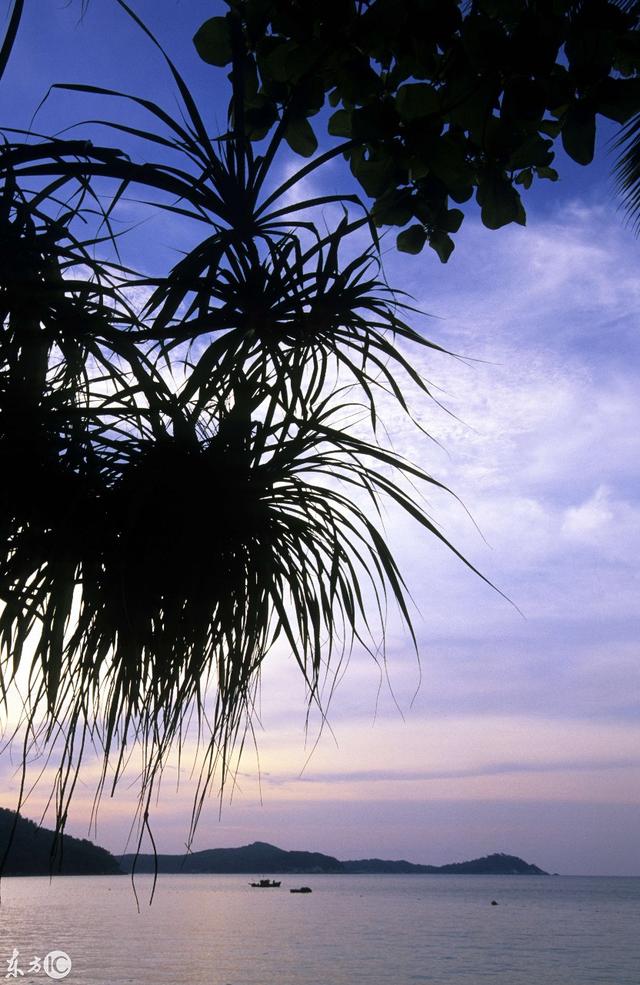 马来西亚刁曼岛，浮潜海钓看银河，原来大海可以这么美