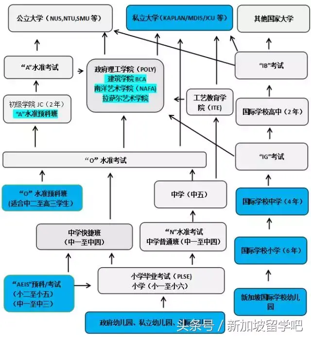 O-Level和N-Level考试内容有新变！来看看新加坡新课改都改了啥！