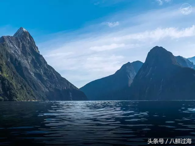 生长在国家公园外海，出门就坐直升飞机的海鲜：新西兰岩龙虾！