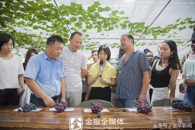 “海外名校”滚动播报｜“海外学子”被浦江葡萄“圈粉”