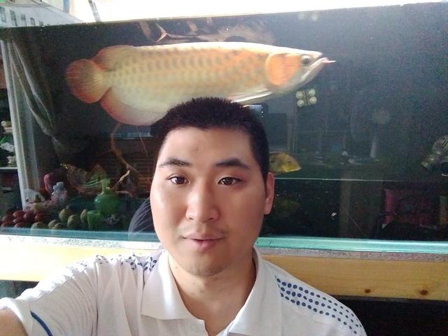 如果时光能倒流，我饲养的第一只宠物，依然是鱼