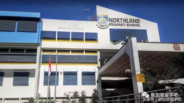 「Singapore」小一新生报名活动2C阶段：72间学校报名人数超额