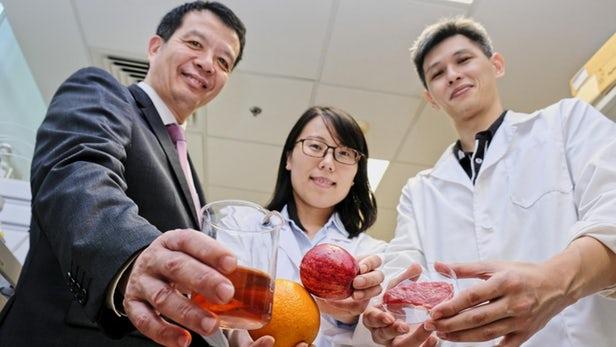 新加坡科学家研发的天然防腐剂可以延长食物的保质期