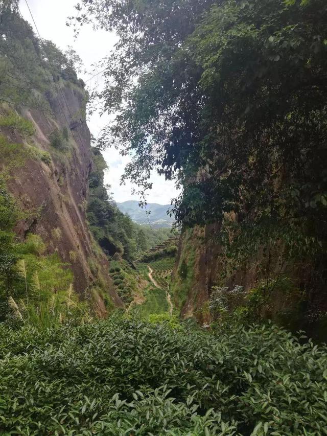 “探秘万元‘牛肉’的产地，东南汽车带着你一起寻宝”