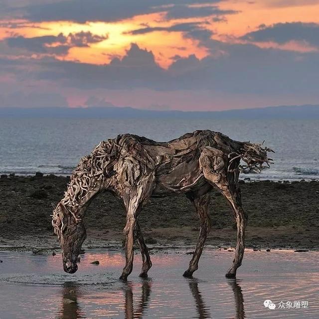 朽木可雕：漂流木的新生命