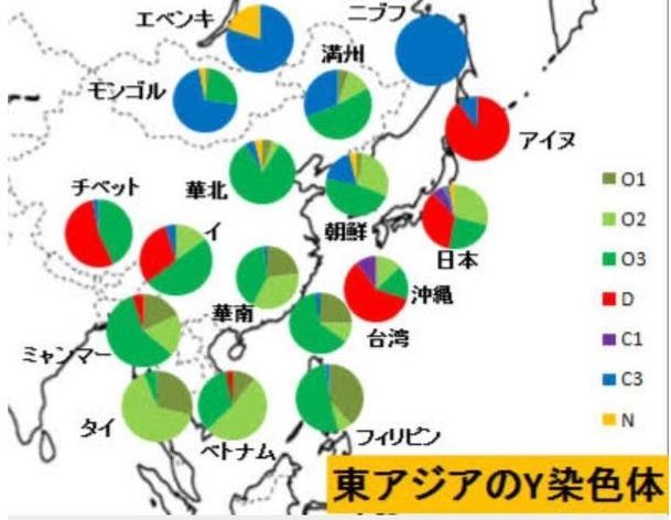 各国网友热议：日本人是中国人的后裔吗？回答很专业 颠覆认知！