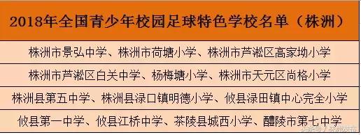 荷塘区通报3起违纪违规典型案例丨株洲产双动力地铁工程车“驶入”澳洲