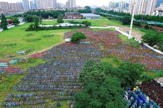 月赔30亿，不到一个月就倒闭，共享单车还能起死回生吗？