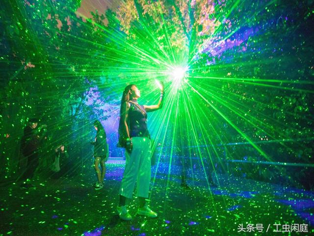 新加坡现新打卡圣地“幻光雨林” 随手一拍即大片「图集」