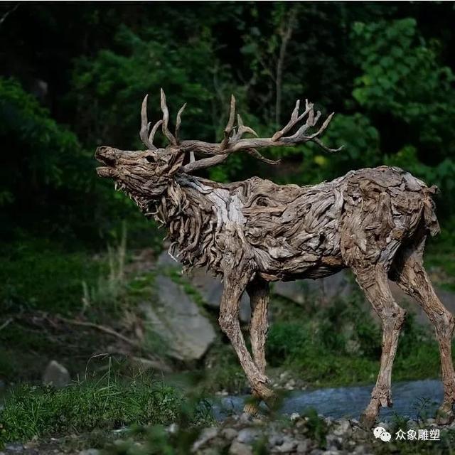 朽木可雕：漂流木的新生命