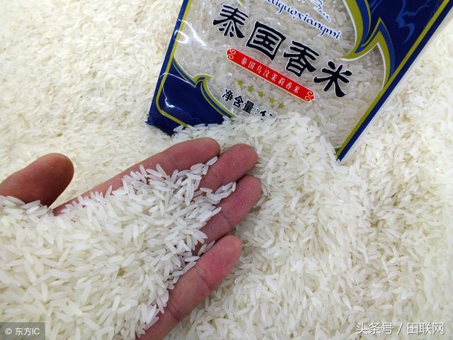 泰国将种植更多普通水稻以满足亚洲地区需求