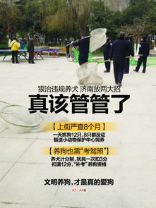 用外国的养狗条例来看看中国几人能做到