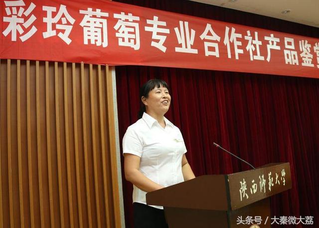 “爱不释口”——大荔葡萄品鉴推进会在西安举办