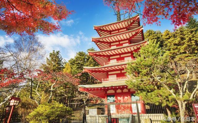 去日本旅游这几个点不容忽视，最后一个一针见血，游客：我要回家