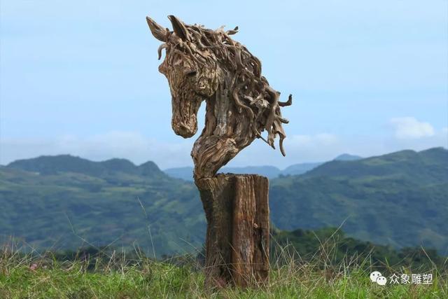 朽木可雕：漂流木的新生命