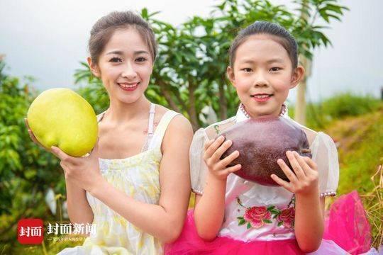 攀枝花芒果采摘节开幕 6斤重“芒果王”卖了11万