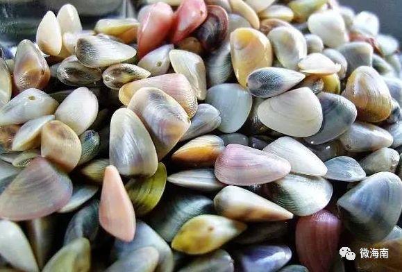 吃遍海南，却吃不腻这18道菜