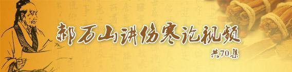 郝万山讲伤寒论文字版——第34 讲心下痞证（2）