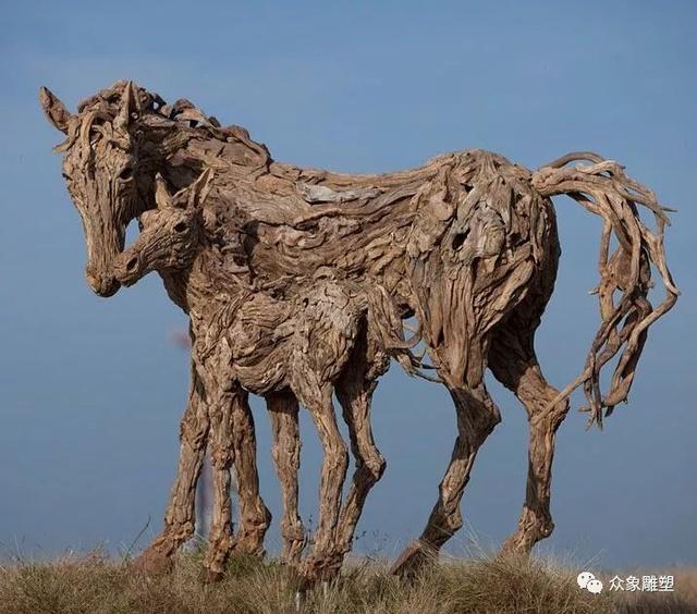 朽木可雕：漂流木的新生命