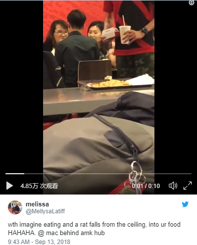 新加坡麦当劳服务超“贴心”，邻桌老鼠兄弟陪你吃饭，接纳不？