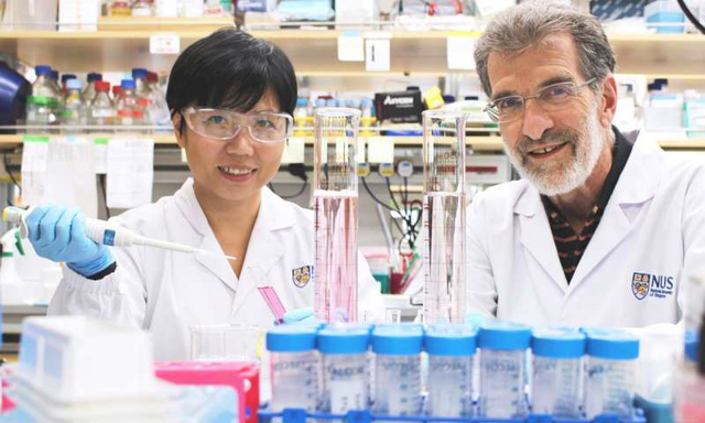 新加坡科学家们成功开发出一种治疗肝癌的新药