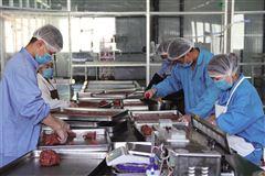 现代农业土乡大放光彩