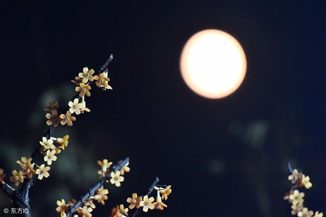 除了中国，这些国家也过中秋节，是韩国最重要传统节日