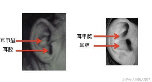 萨默顿男尸身份成谜，口袋里的字条和护士的姓名成为破案的关键