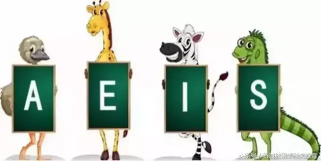 新加坡留学｜AEIS考试倒计时！你准备好了吗？